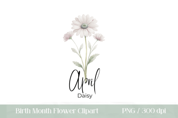 Download Birth Month Flower April Daisy PNG - Png Collection