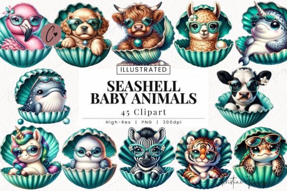 Download Seashell Baby Animals Clipart, Beach PNG - Png Collection