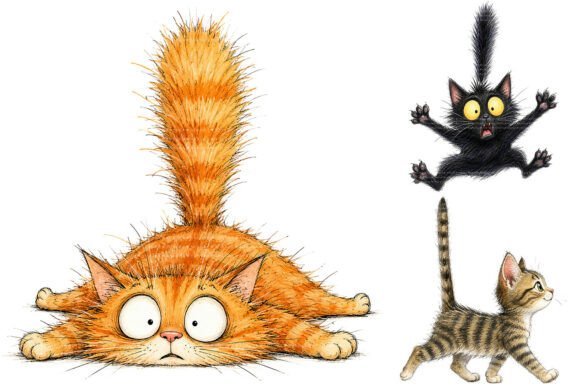 Download Whimsical Funny Cat PNG Bundle - Png Collection
